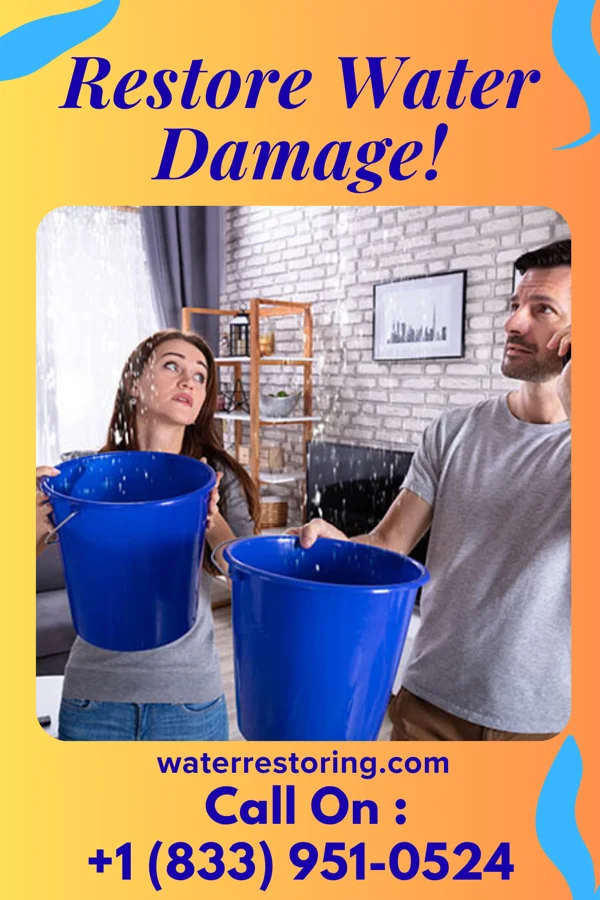 water restoration Imperial Property Restoration Pinellas Park